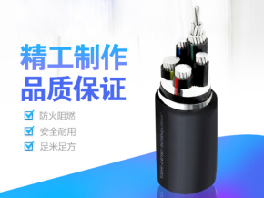 铝合金电缆