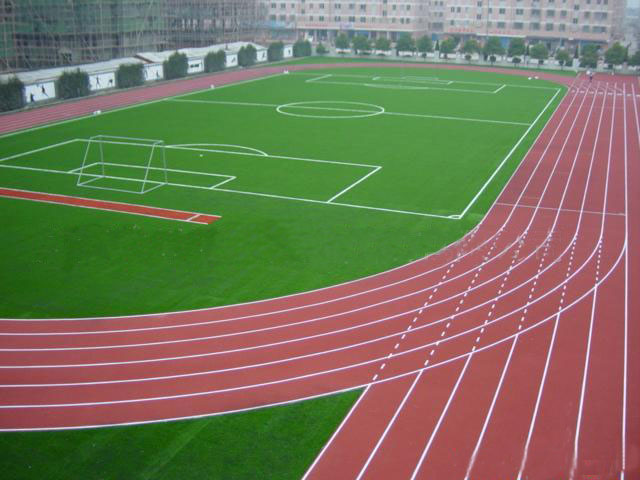 大学校区运动场地案例