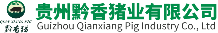 贵阳百花红网红美食城【官网】